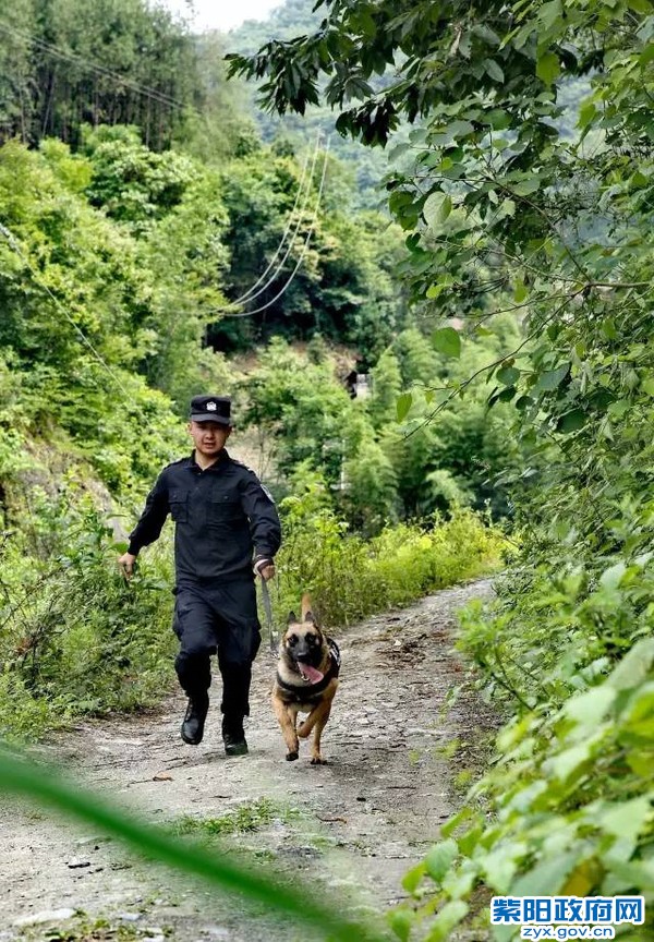 微光 警犬来啦！ 紫阳警营摄影作品 (1).jpg