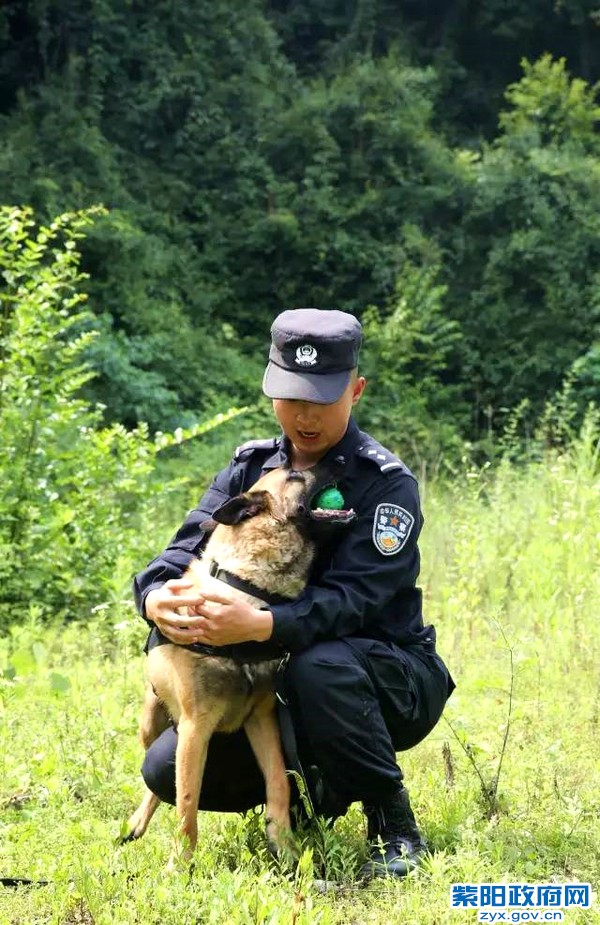 微光 警犬来啦！ 紫阳警营摄影作品 (8).jpg