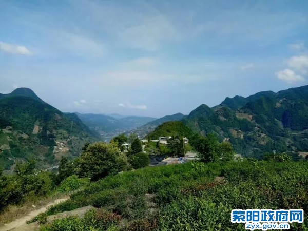 身边暖警 (1).jpg