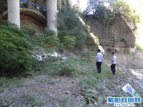 3、【动物尸体乱扔弃 妥善处理保环境】 (2).jpg