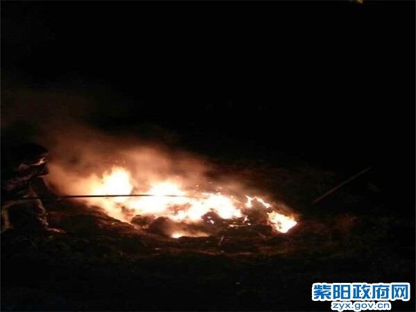 3、【动物尸体乱扔弃 妥善处理保环境】 (3).jpg