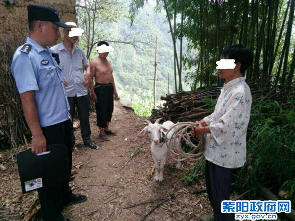 6、【群众山羊走失 民警帮其找回】.jpg
