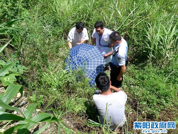 1、【怕车祸伤员中暑 民警为其撑伞】 (3).jpg