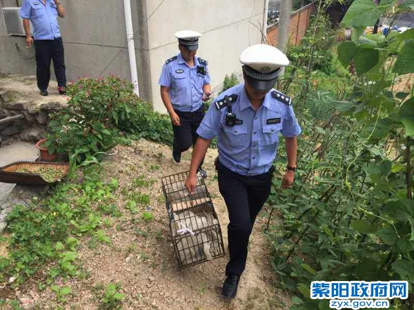 2、【查获保护动物 民警放归森林】 (4).jpg