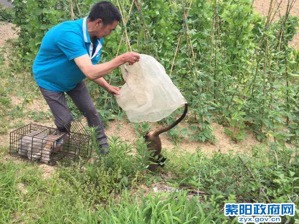 2、【查获保护动物 民警放归森林】 (3).jpg