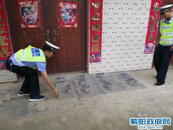 紫阳交警及时解救11只野生动物 (4).jpg