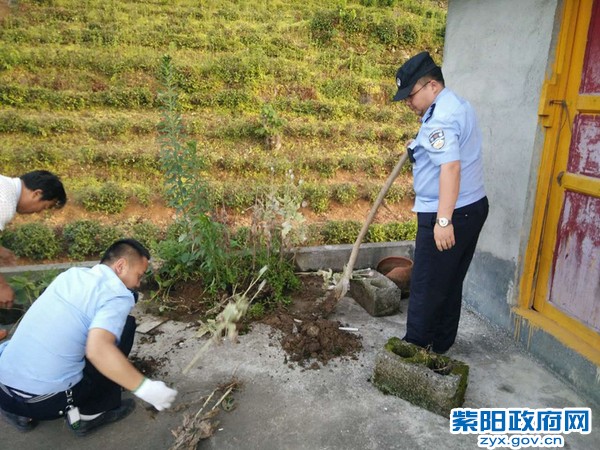 2、【铲除罂粟 警方在行动】 (2).jpg