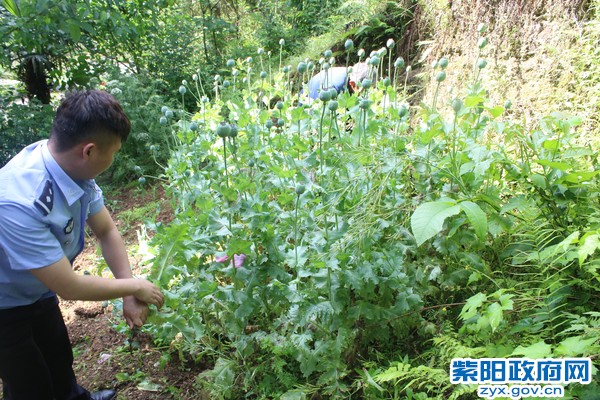 汉王.JPG