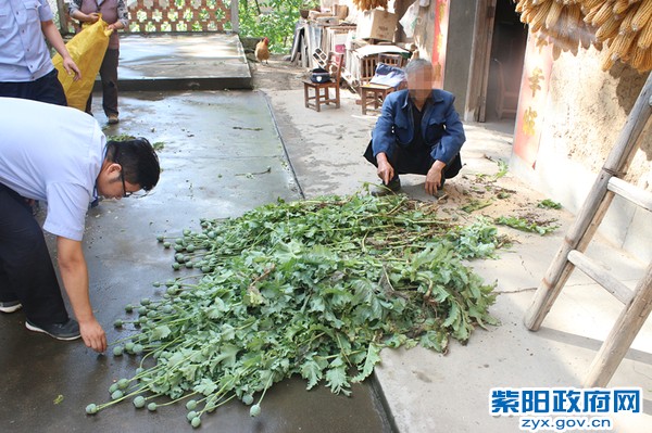 汉王1.jpg