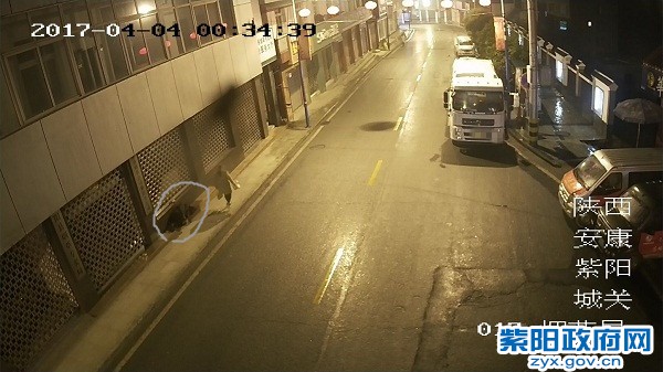 指挥中心11_副本.jpg