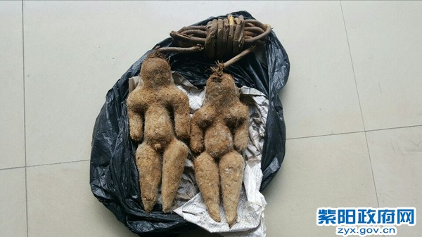 6、【兜售假药材行骗 民警速出警擒获】.jpg