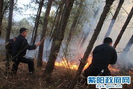 城关所 (1).jpg